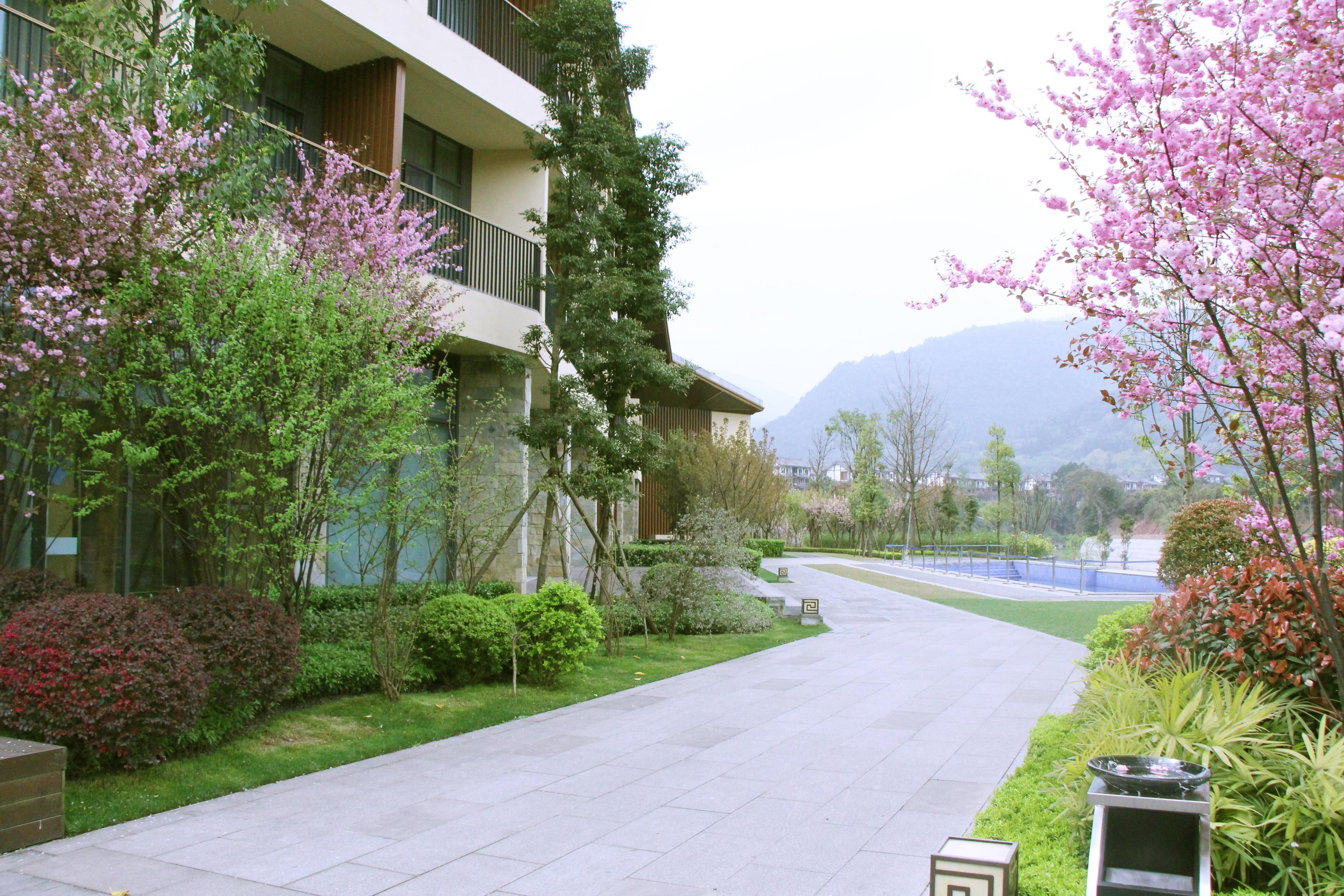 Holiday Inn Express Emei Mountain By Ihg Emeishan Eksteriør bilde